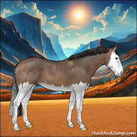 Horse Color:Bay Dun Splash 