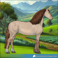 Horse Color:Red Dun