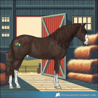 Horse Color:Liver Chestnut 