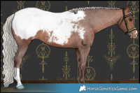 Horse Color:Silver Bay Snowcap 