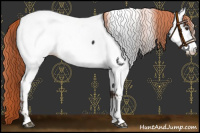 Horse Color:Liver Chestnut Fewspot 