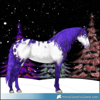 Horse Color:Watercolor Brown Ice Frame Appaloosa