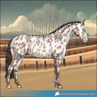 Horse Color:White Spotted Sable Champagne Appaloosa Rabicano 