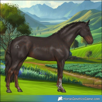 Horse Color:Liver Chestnut Tobiano Rabicano 