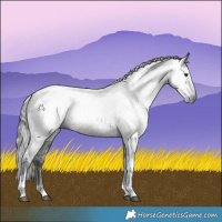 Horse Color:Gray Liver Chestnut Tobiano Snowcap Rabicano 