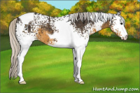 Horse Color:White Spotted Silver Smoky Black Tobiano 