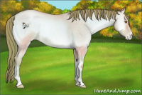 Horse Color:Watercolor Smoky Blue Onyx Roan Pearl 