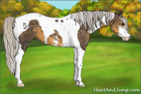 Horse Color:Silver Smoky Black Sabino Tobiano 