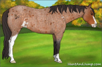 Horse Color:Buckskin Roan Sabino 