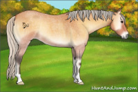 Horse Color:Silver Buckskin Roan Onyx 