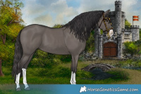 Horse Color:Smoky Grullo Splash 