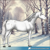 Horse Color:Platinum White Spotted Chocolate Palomino Dun Splash Appaloosa 
