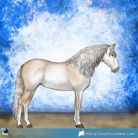 Horse Color:Gray Palomino Dun Splash 