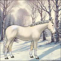 Horse Color:Palomino Dun Splash Appaloosa 