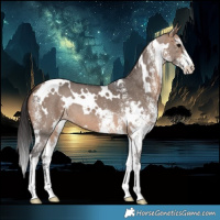 Horse Color:White Spotted Brown Dun 