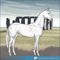 Horse Color:Gray White Spotted Chocolate Palomino Appaloosa 