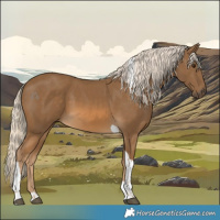 Horse Color:Chocolate Palomino Tobiano 