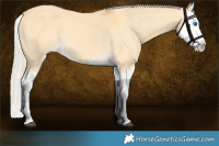Horse Color:Palomino Dun Splash