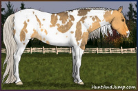 Horse Color:White Spotted Silver Buckskin Dun Tobiano