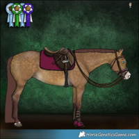 Horse Color:Chocolate Buckskin Dun Splash