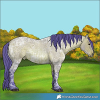 Horse Color:Watercolor Bay Ice Roan 