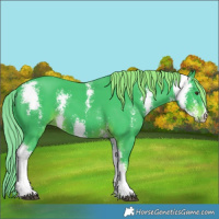 Horse Color:Watercolor Liver Chestnut Sabino 