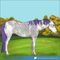 Horse Color:Watercolor Bay Ice Sabino 