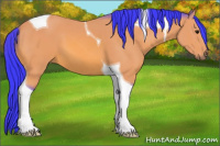 Horse Color:Watercolor Bay Tobiano