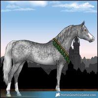 Horse Color:Silver Black Chinchilla