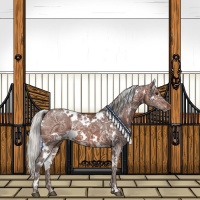 Horse Color:White Spotted Silver Brown Ice