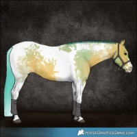 Horse Color:Watercolor Bay Roan Tobiano 