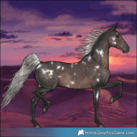 Horse Color:Platinum White Spotted Liver Chestnut 