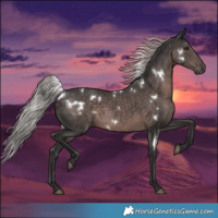 Horse Color:Platinum White Spotted Liver Chestnut