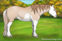 Horse Color:Bay Pearl Mushroom Splash 