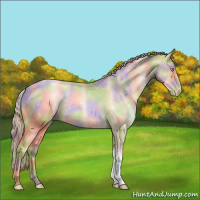 Horse Color:Nacre Gold Champagne Roan Pearl 