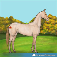 Horse Color:Bay Roan Pearl 