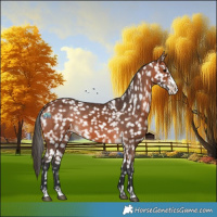 Horse Color:Bay Splash Snowflake Varnish