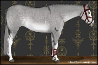 Horse Color:Platinum White Spotted Chocolate Palomino Dun Mushroom