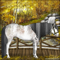 Horse Color:Platinum White Spotted Bay Dun Mushroom