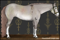 Horse Color:Platinum White Spotted Liver Red Dun Sabino 