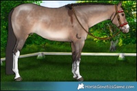 Horse Color:White Spotted Brown Dun Mushroom