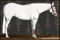 Horse Color:Platinum White Spotted Gold Champagne Dun Mushroom 