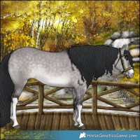 Horse Color:Platinum White Spotted Brown Dun Mushroom 