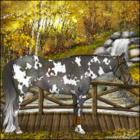 Horse Color:Platinum White Spotted Liver Chestnut