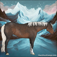 Horse Color:Liver Chestnut Mushroom 