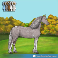 Horse Color:Chocolate Silver Grullo Chinchilla Tobiano 