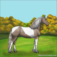Horse Color:Silver Grullo Tobiano 