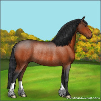 Horse Color:Brown Rabicano 