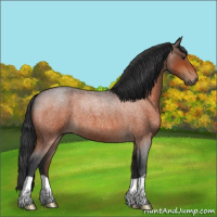 Horse Color:Brown Roan 