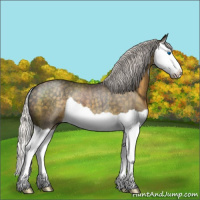 Horse Color:Silver Smoky Black Splash Rabicano 